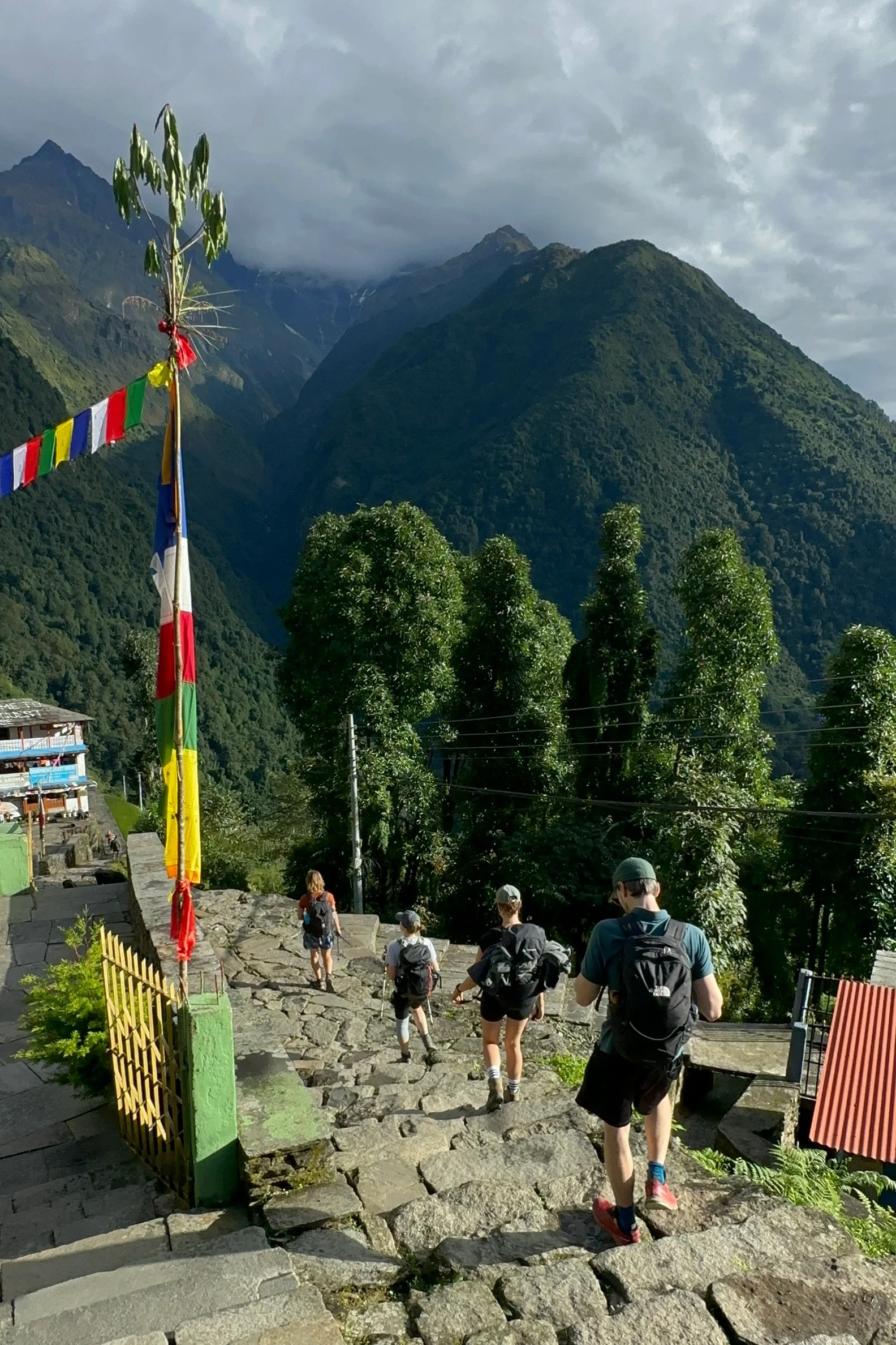 Annapurna Base Camp StairsABC 1 edited Himalayan Leaders
