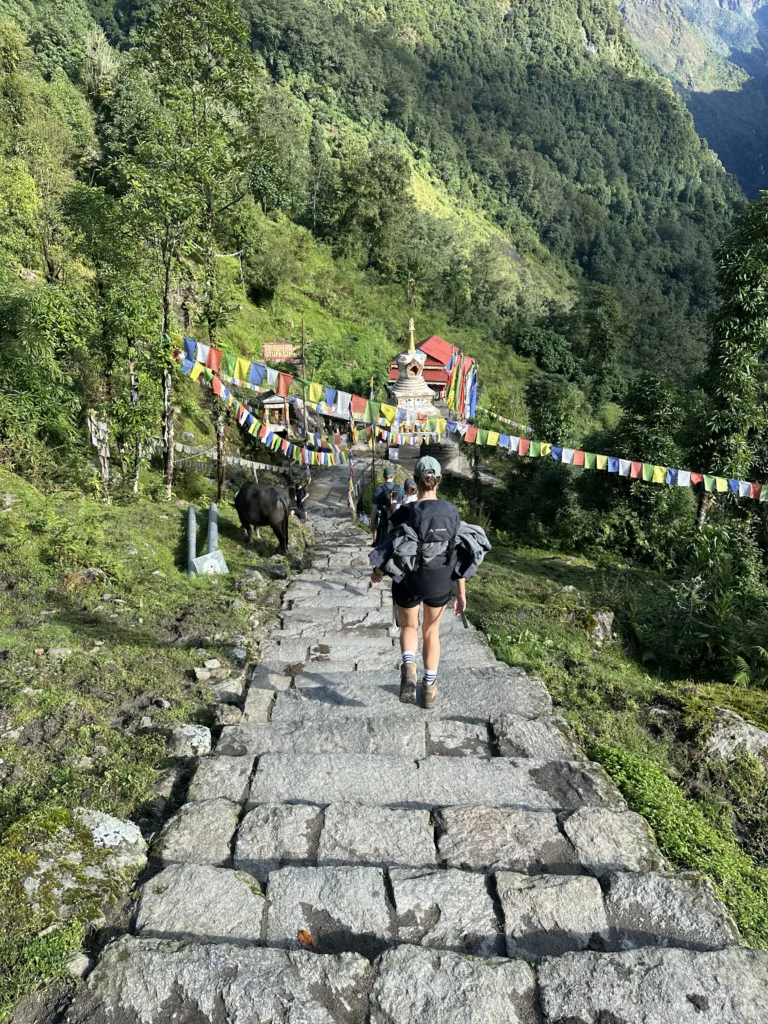 Annapurna Base Camp StairsABC 2 Himalayan Leaders