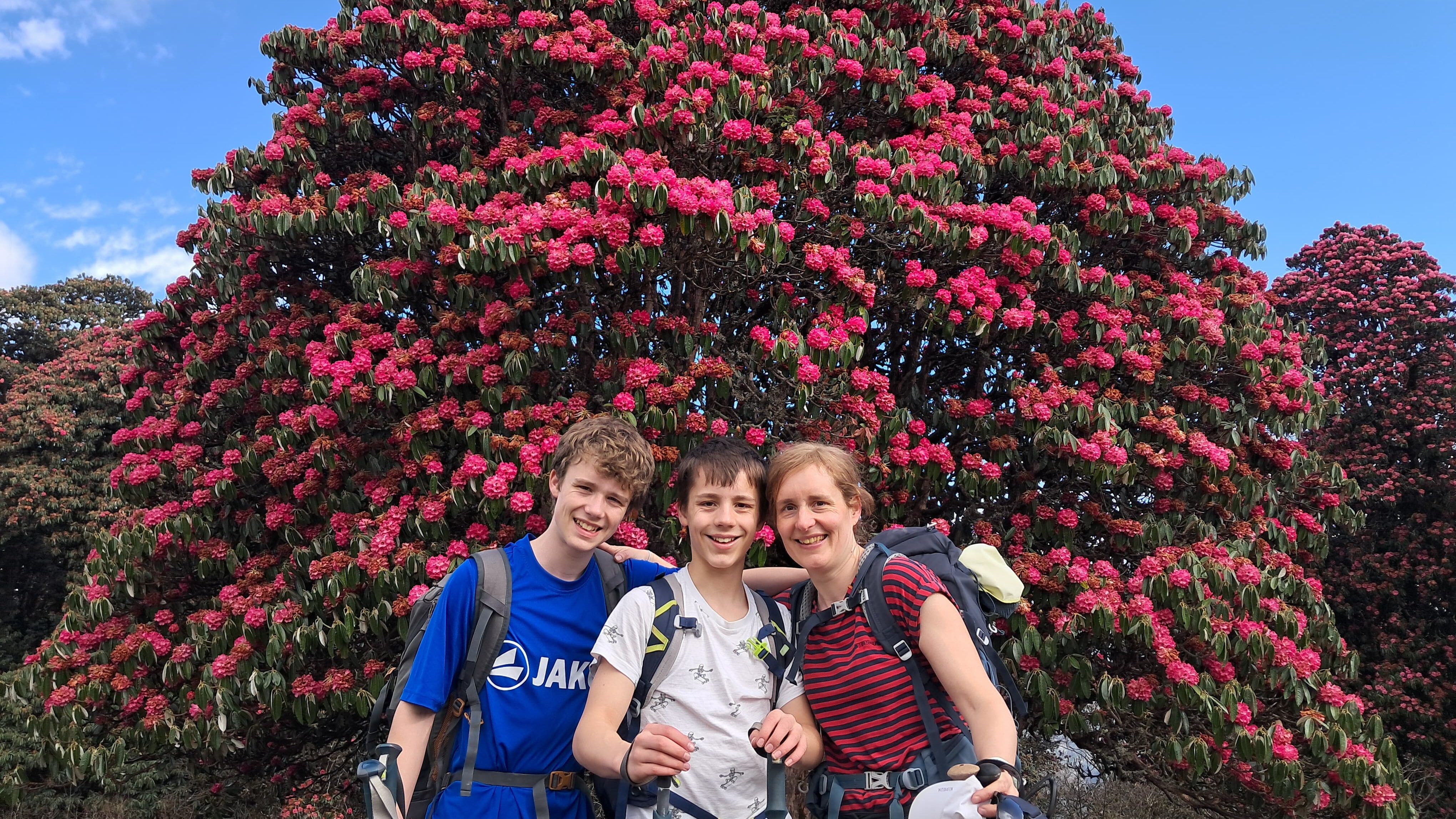 Happy trekkers capturing memories with beautiful rhododendron tree